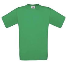 Picture of Exact 150 T-shirt B&C Kelly Green