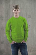 Picture of Team Sweater AWDIS Lime Green