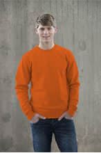 Picture of Team Sweater AWDIS Orange Crush