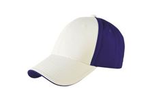 Picture of Trucker Cap White / Royal