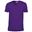 Afbeelding van Softstyle Mens V-Neck T-shirt Gildan Purple 