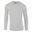 Afbeelding van Gildan Softstyle long sleeve t-shirt Sports Grey